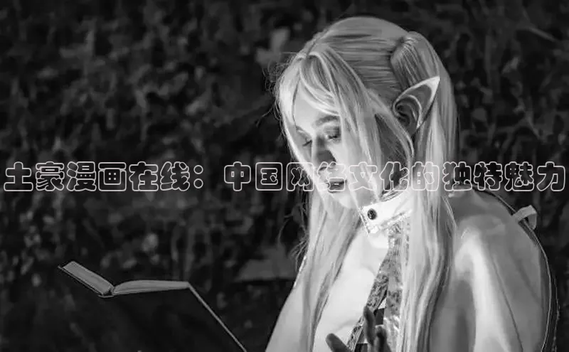 土豪漫画在线：中国网络文化的独特魅力